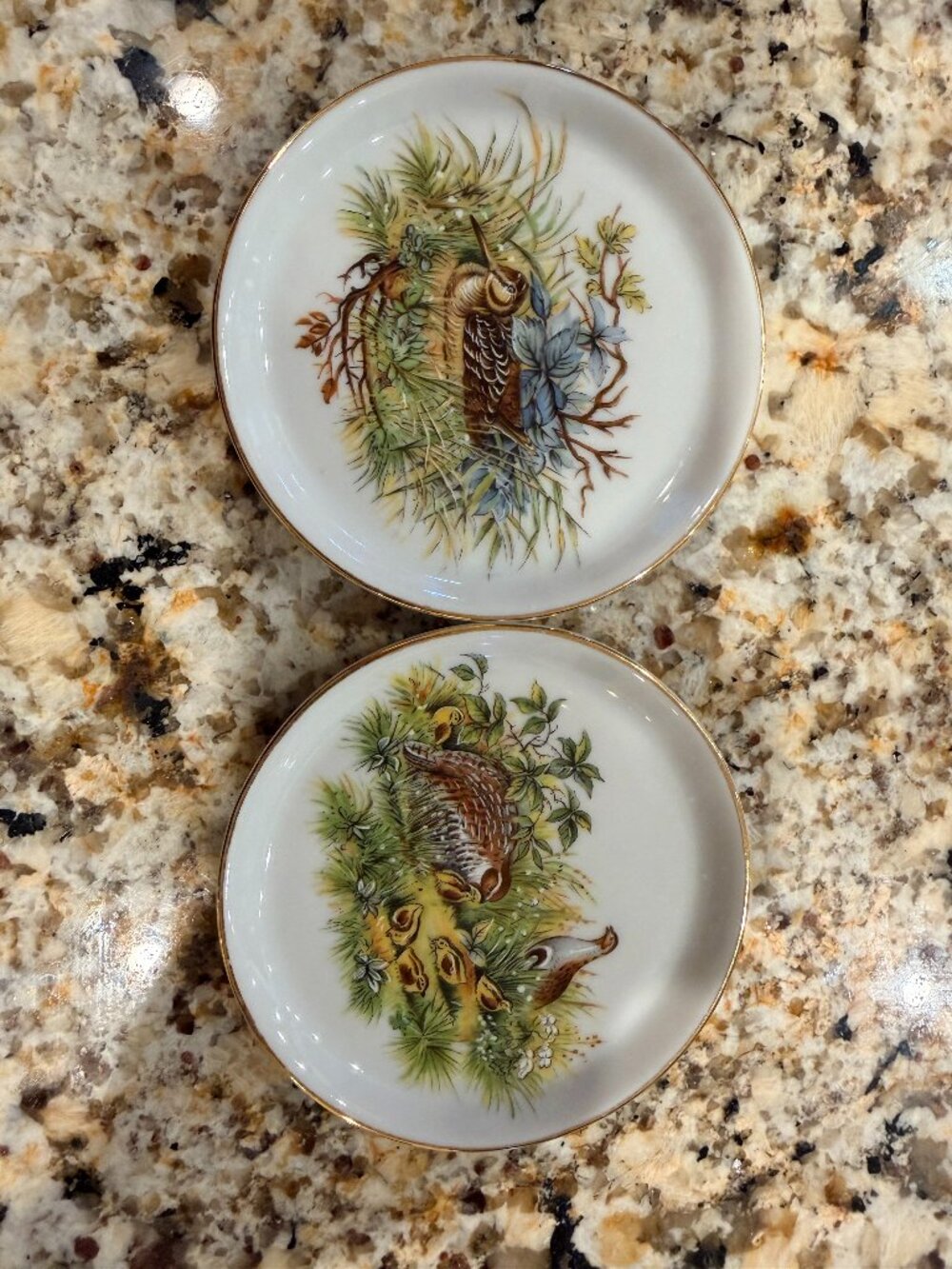 Vintage Schwarzenhammer Bavaria Game Bird Porcelain Dishes Set of 2